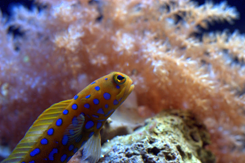 CRW_0367.jpg