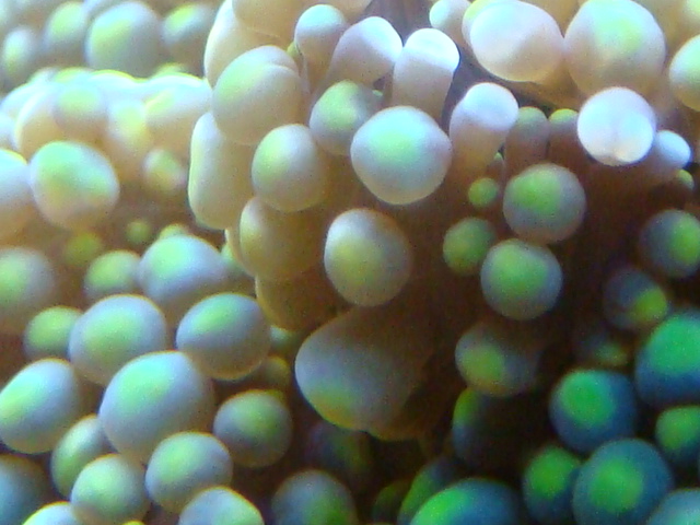 4121155330_b59499d8f5_o.jpg