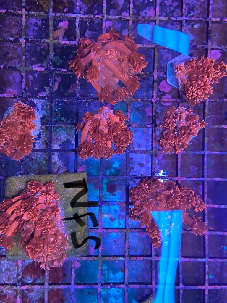 4686acb4f76c37c61e87dc19c44fa746.jpg