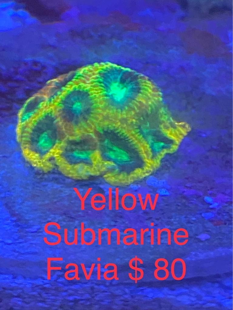 6ff6b8786bf8f6577a3065d0eac24847.jpg