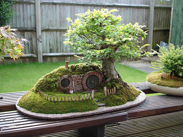 amazing-bonsai-trees-31-5710fa291dd89__700.jpg