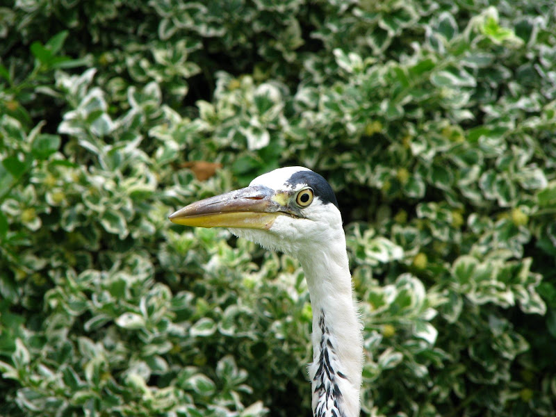 IMG_6432.JPG