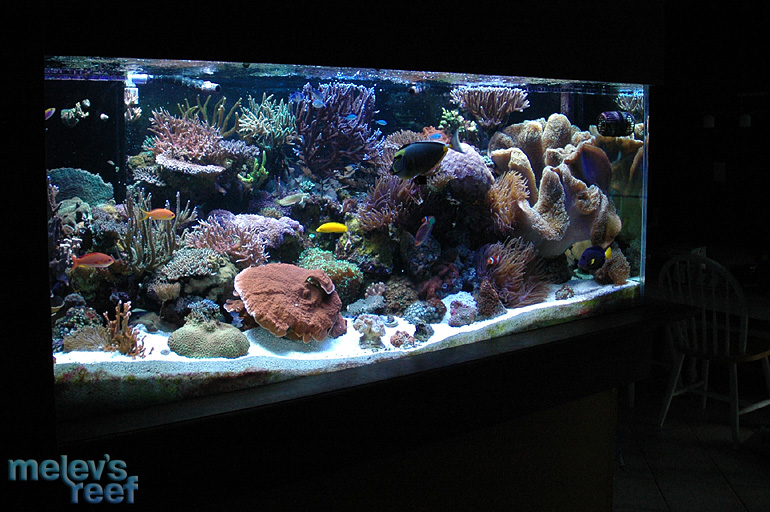 fts_angle.jpg