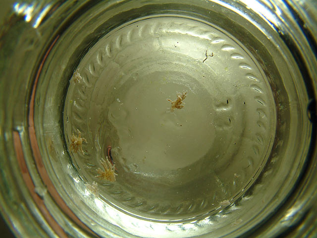 monti_nudi4.jpg
