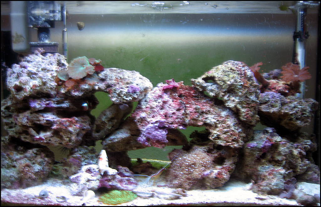 tank-11-29-05.jpg
