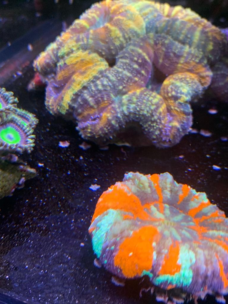 98c9a610948b09f737c30b0aceaff7e9.jpg