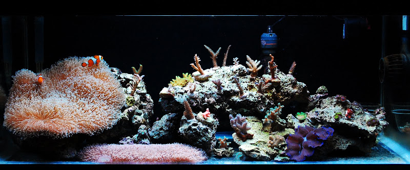 DSC_7148.JPG
