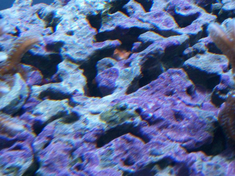 100_8539r.jpg