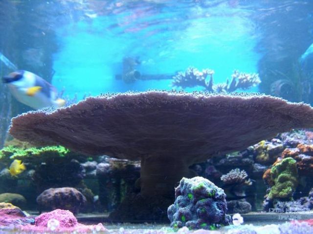 med_gallery_143_276_103724.jpg
