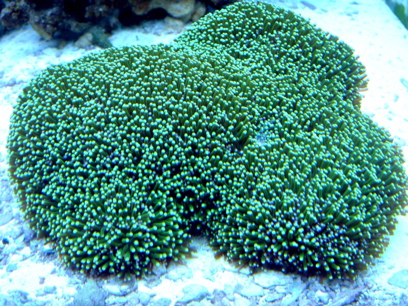 DSC05141-small.jpg