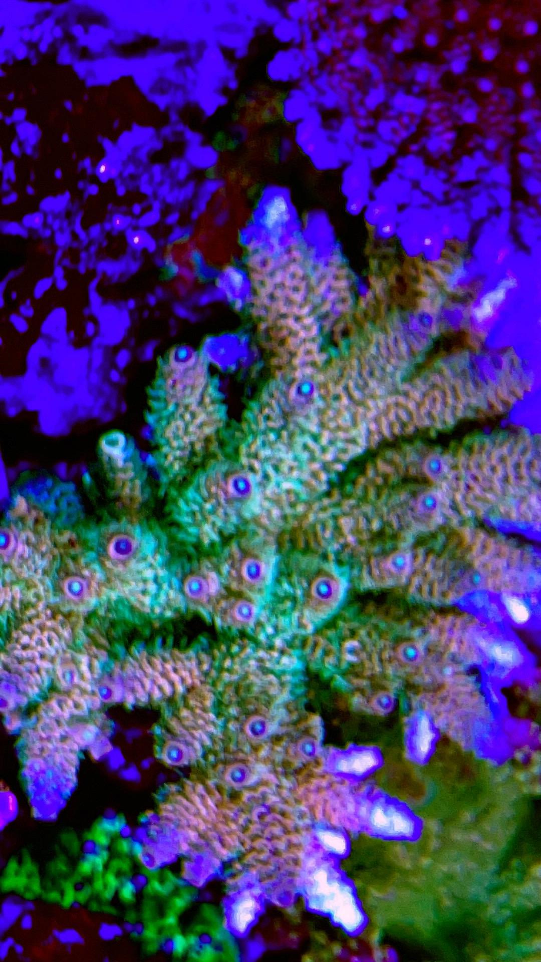 3f8922deffe46536794542ff694439a1.jpg