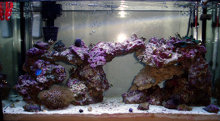 tank-04-10-05.jpg