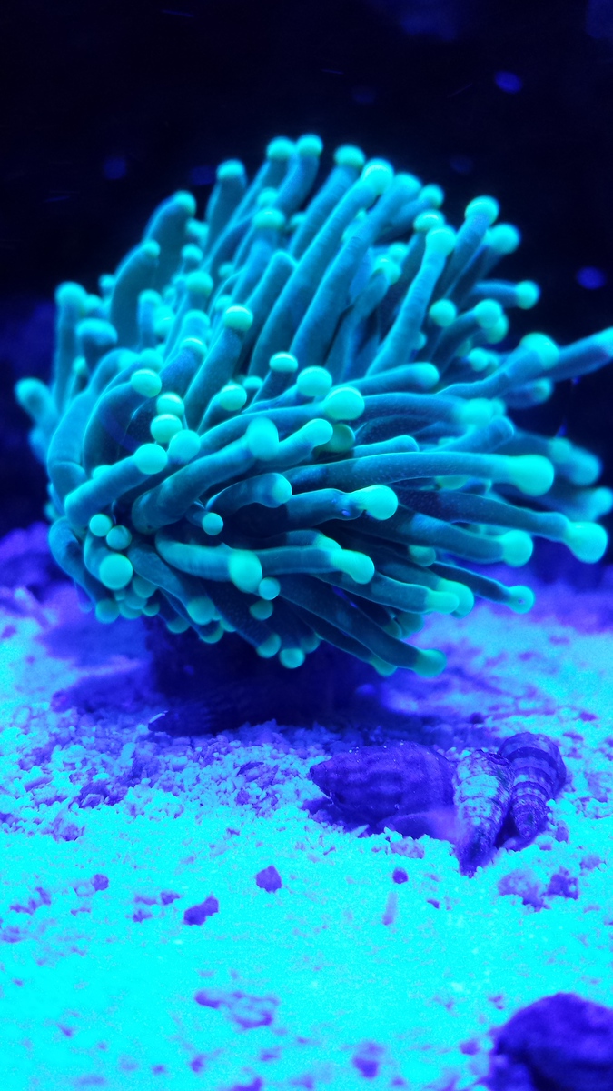 20131102_205259-X3.jpg