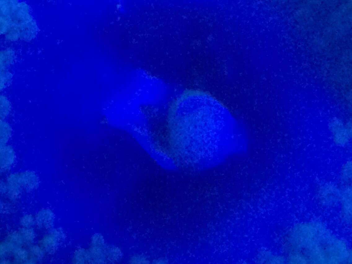 BpP--ReCEAAZoYx.jpg:large