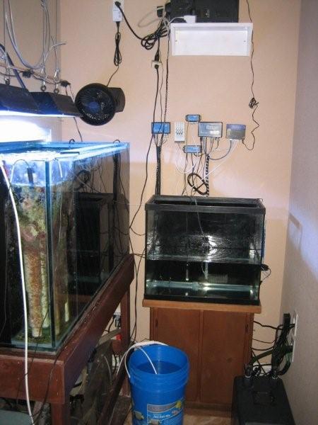 quarantine tank.jpg