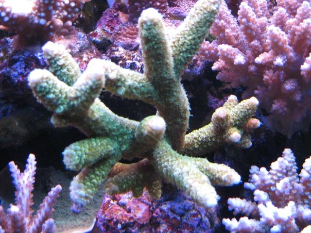 20080401_1ba382979554da1d4d5aUztgqkBGefjO.jpg