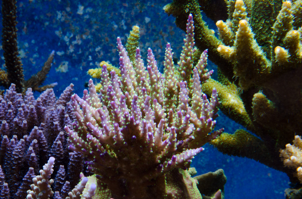 DSC_3738.jpg