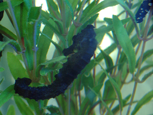 casper_0407.jpg