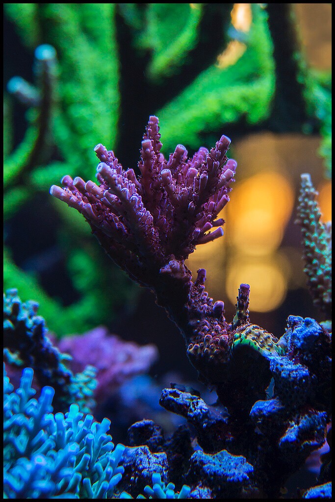 2c5f1f009976e80cee9b2bbad1f84ba0.jpg