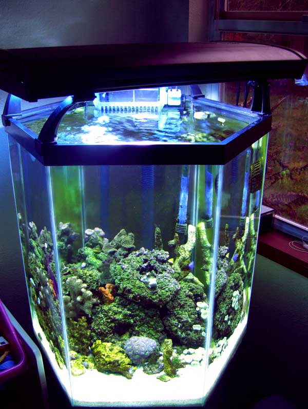 FTS1.jpg