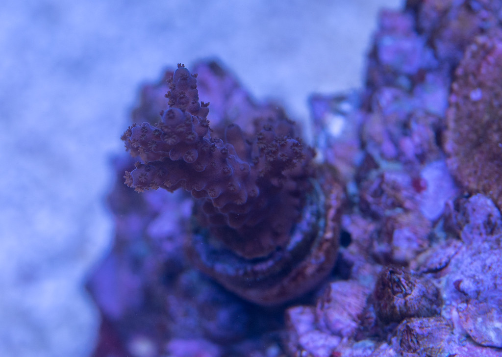 20160425-Aquarium-024-XL.jpg