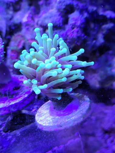 111a25672505fa1c719be536da8dc61d.jpg