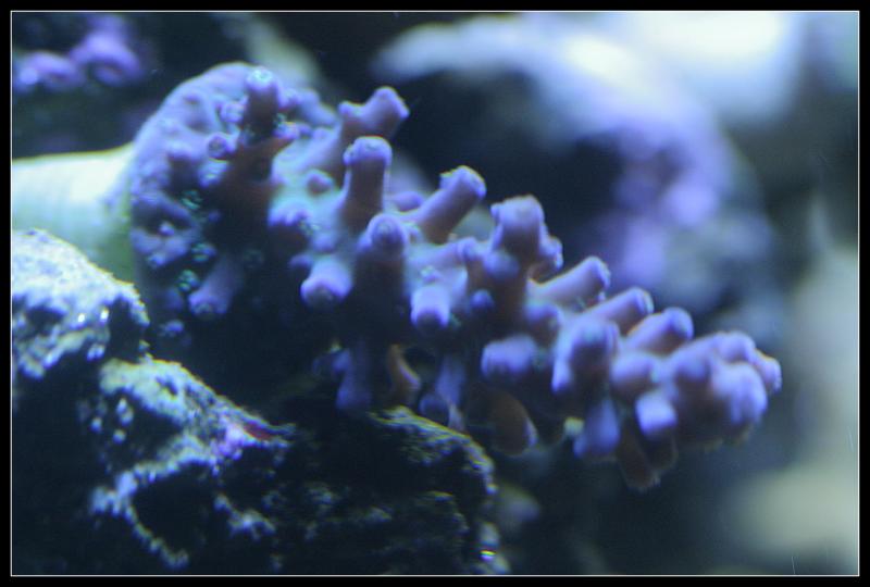 41780290.jpg