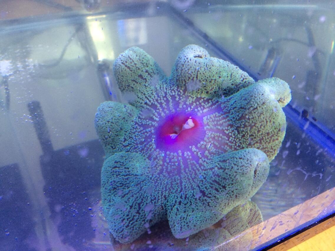 Bo_sxqvIAAAOb8q.jpg:large