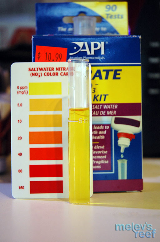 nitrate0_031709.jpg