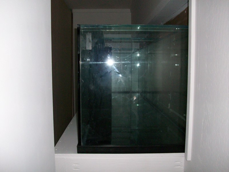 100_6234.jpg