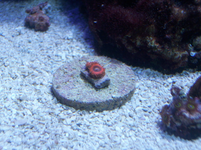 100_9771.jpg