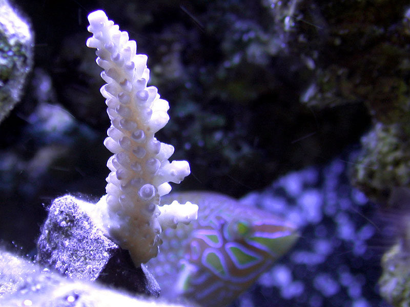 DSCN3173.jpg