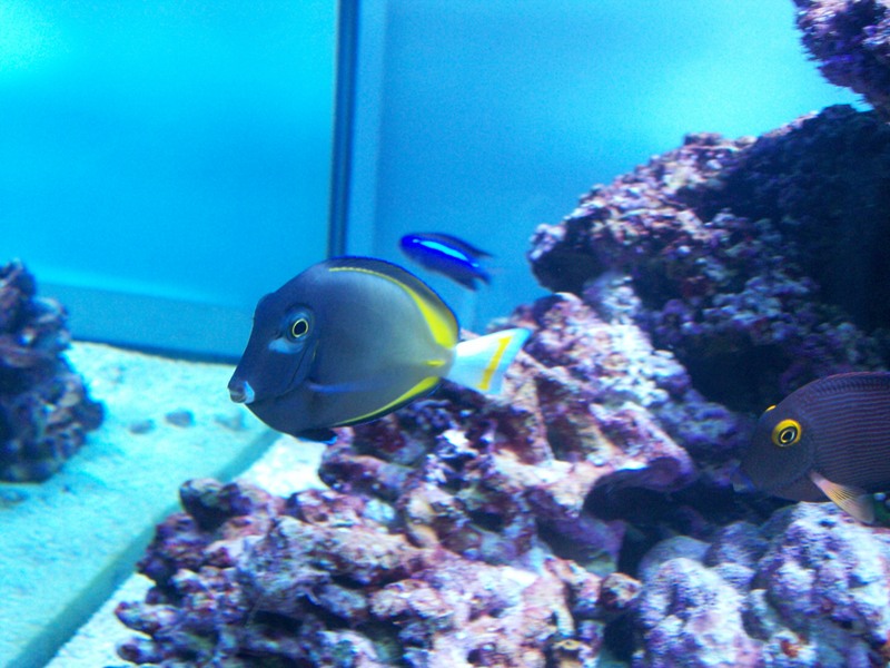 100_9745.jpg