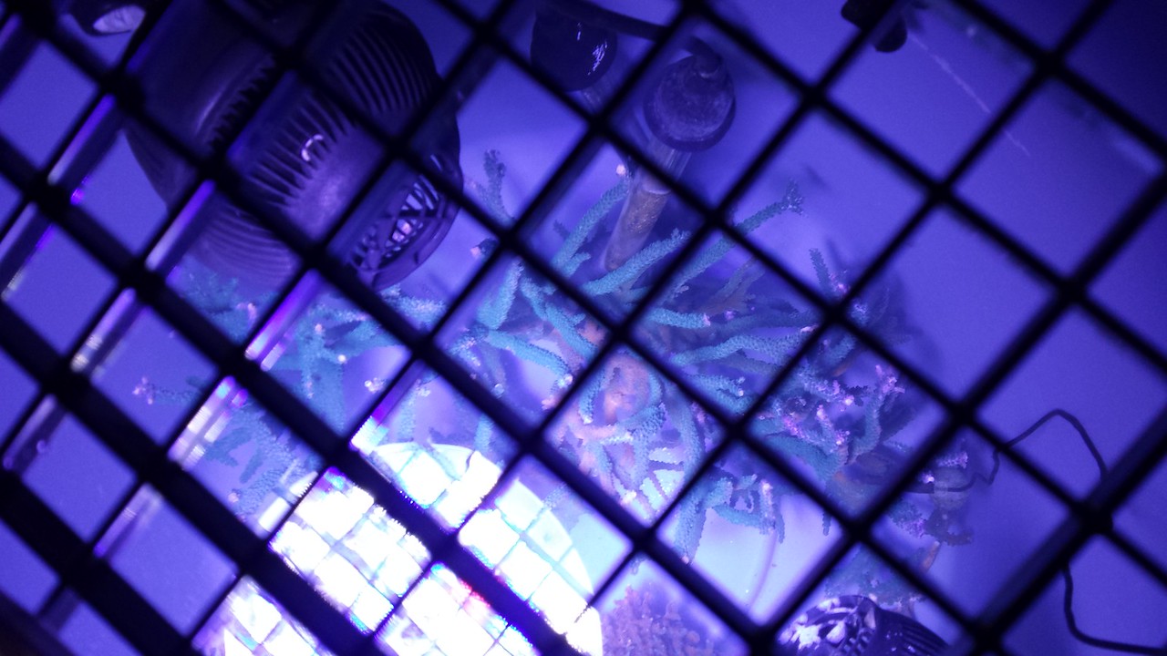 20140616_205848-X2.jpg