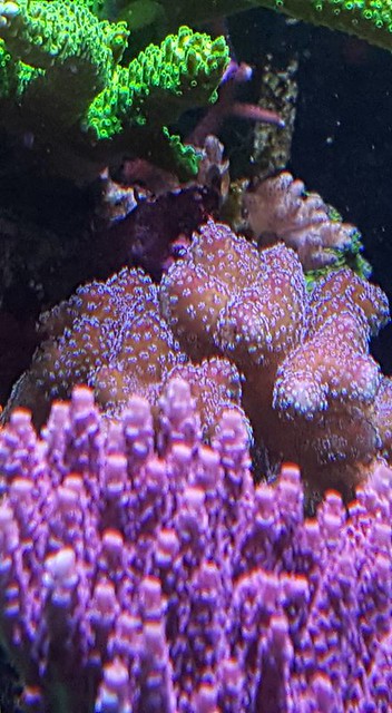 22341668641_7149bce6e5_z.jpg