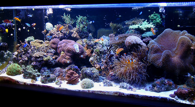 fts_121707.jpg