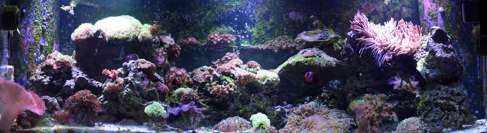 stitch4-X3.jpg