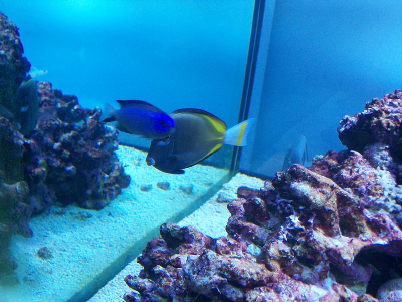 100_9740.jpg