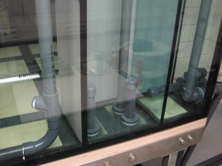 3-old-2006-6.jpg