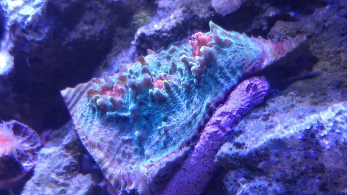 f0c72cbfe603888aa38cc4bc0f84c043.jpg