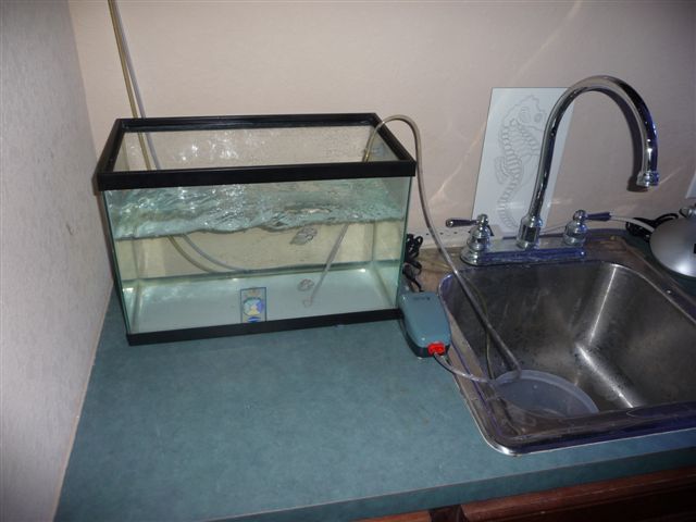 Fry_tank_empty.JPG