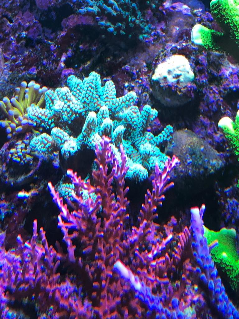 e836f231fd877d8c6f59cee0ad34ca81.jpg