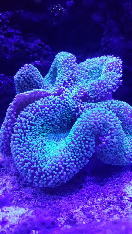 20170104_222103-XL.jpg