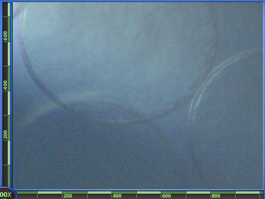 RSB_egg_0_3_200x.jpg