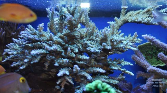 med_gallery_1281_680_48138.jpg