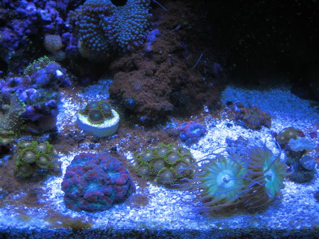 Jan%2011%202007.jpg