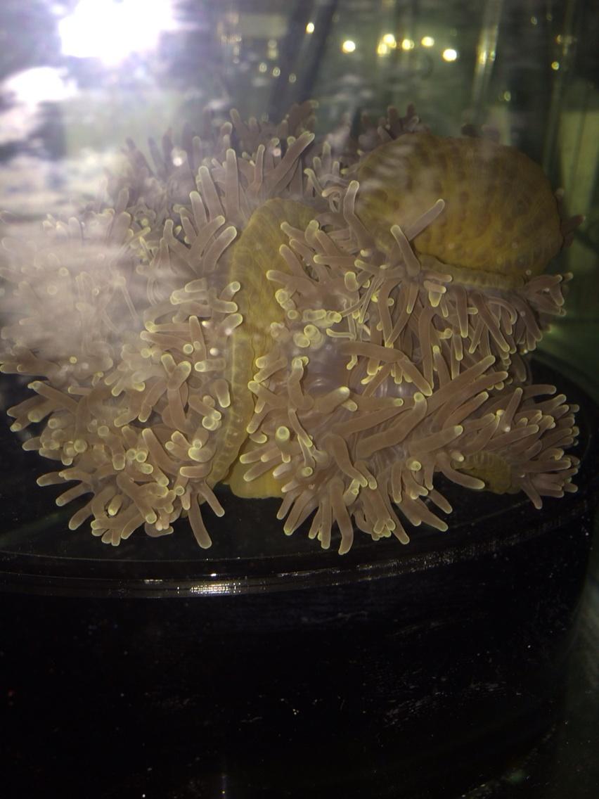 ByxsmhnIQAEWTMH.jpg:large