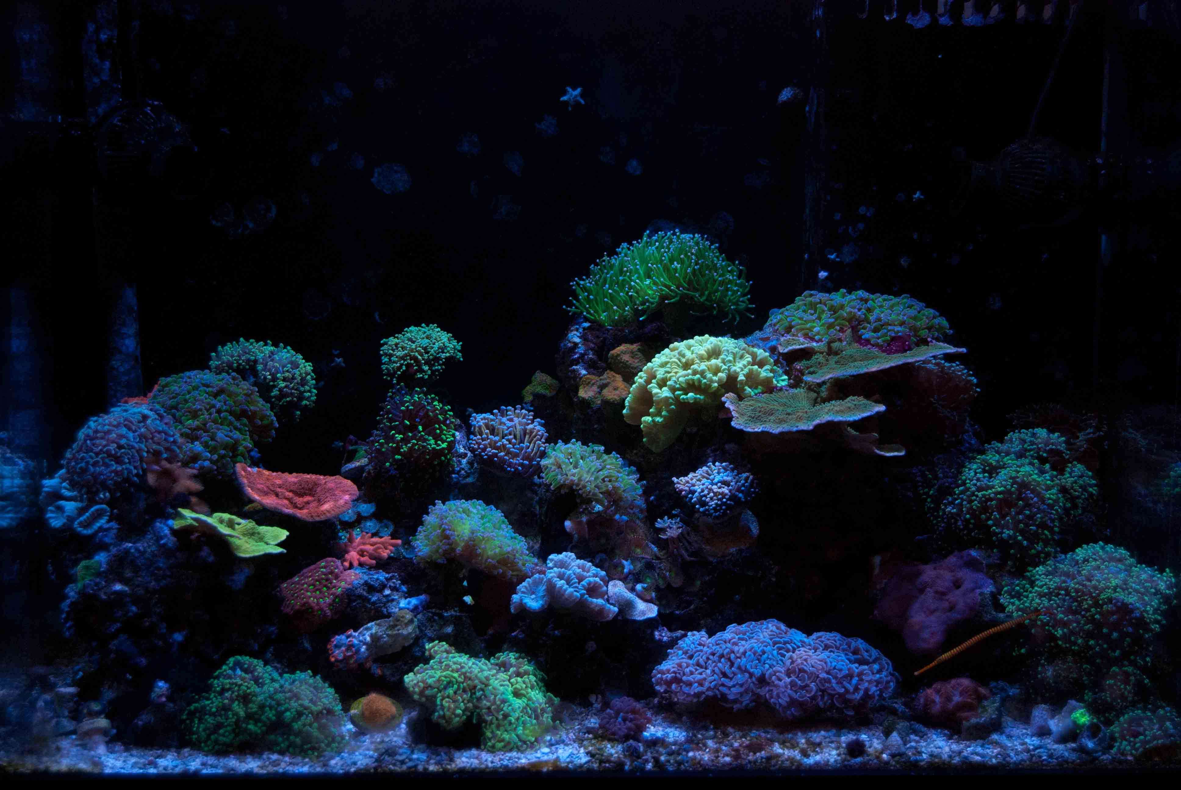 resizedfts2.jpg