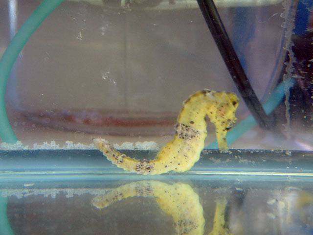 casper_feb19f.jpg