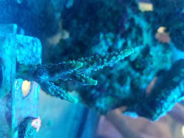 20180403_160413.jpg